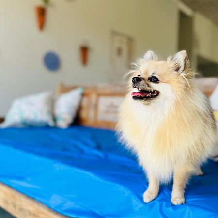 Pousada Baia Das Conchas ウバトゥバ エクステリア 写真